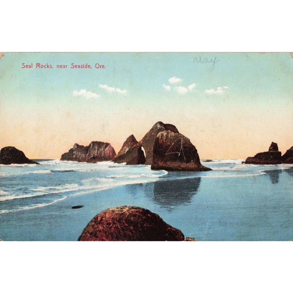 Vintage Seal Rocks Seaside Oregon Postcard JK Gill Co Made in Germany VG